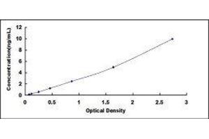 CD36 (CD36) ELISA Kit