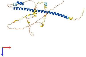 AlphaFold protein structure predicition of Human Recombinant MAFB Protein, UniprotID Q9Y5Q3