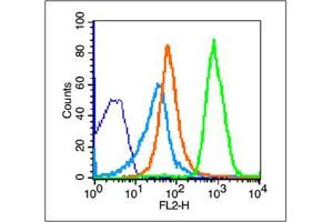 Thymus cells probed with NKG2D Polyclonal Antibody, unconjugated  at 1:100 dilution for 30 minutes compared to control cells (blue) and isotype control (orange)