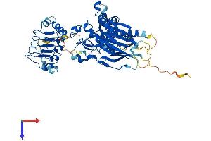 AlphaFold protein structure predicition of Mouse Recombinant Cnot6 Protein, UniprotID Q8K3P5