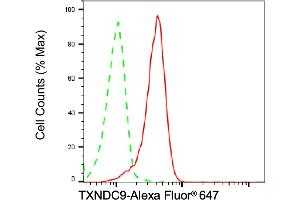 Flow cytometric analysis of TXNDC9 expression in HT- cells using TXNDC9 antibody (ABIN7800543), 1:2,000). (Recombinant TXNDC9 anticorps)