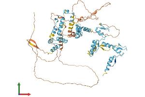 AlphaFold protein structure predicition of Human Recombinant ZNF202 Protein, UniprotID O95125