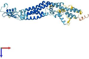 AlphaFold protein structure predicition of Mouse Recombinant Panx3 Protein, UniprotID Q8CEG0
