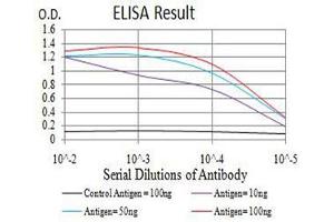 anti-Set1/Ash2 Histone Methyltransferase Complex Subunit ASH2 (ASH2L) (AA 493-628) antibody