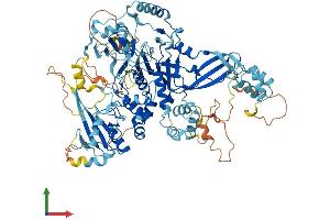 AlphaFold protein structure predicition of Human Recombinant USP13 Protein, UniprotID Q92995