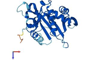 AlphaFold protein structure predicition of Human Recombinant NAT9 Protein, UniprotID Q9BTE0