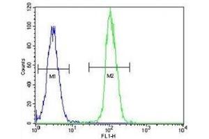 TrkA antibody flow cytometric analysis of HeLa cells (green) compared to a negative control (blue).