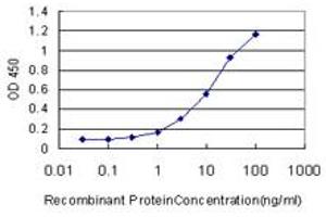 Detection limit for recombinant GST tagged MAGEA3 is approximately 0.