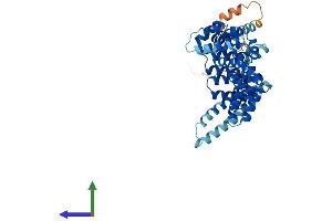 AlphaFold protein structure predicition of Human Recombinant TAF1A Protein, UniprotID Q15573