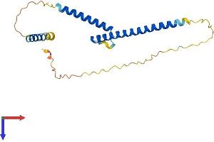 AlphaFold protein structure predicition of Human Recombinant MXD4 Protein, UniprotID Q14582