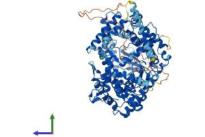 AlphaFold protein structure predicition of Mouse Recombinant Ecel1 Protein, UniprotID Q9JMI0