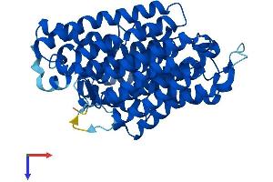 AlphaFold protein structure predicition of Mouse Recombinant Mtnd4 Protein, UniprotID P03911