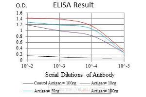 Black line: Control Antigen (100 ng), Purple line: Antigen(10 ng), Blue line: Antigen (50 ng), Red line: Antigen (100 ng),