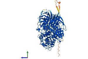 AlphaFold protein structure predicition of Human Recombinant GANC Protein, UniprotID Q8TET4