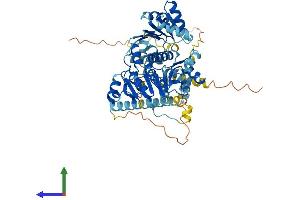 AlphaFold protein structure predicition of Human Recombinant DDX41 Protein, UniprotID Q9UJV9