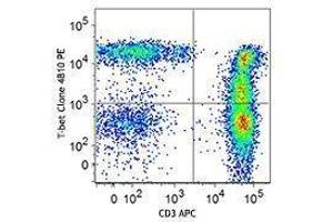 Flow Cytometry (FACS) image for anti-T-Bet antibody (PE) (ABIN2663890) (T-Bet anticorps  (PE))