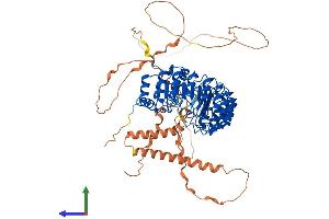 AlphaFold protein structure predicition of Human Recombinant FBXL17 Protein, UniprotID Q9UF56