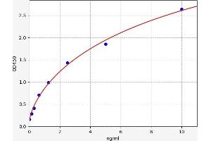 Heat Shock Protein 70 (HSP70) ELISA Kit
