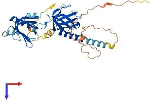 AlphaFold protein structure predicition of Mouse Recombinant Dok4 Protein, UniprotID Q99KE3