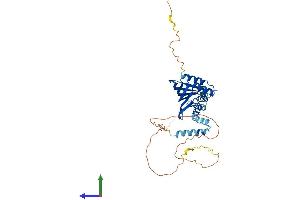 AlphaFold protein structure predicition of Human Recombinant LDB2 Protein, UniprotID O43679