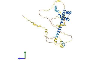 AlphaFold protein structure predicition of Mouse Recombinant Tlx3 Protein, UniprotID O55144