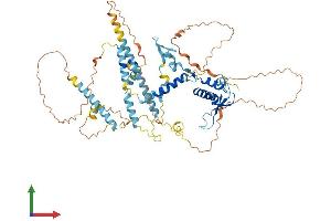 AlphaFold protein structure predicition of Mouse Recombinant Ncaph2 Protein, UniprotID Q8BSP2