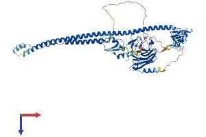 AlphaFold protein structure predicition of Human Recombinant TRIM25 Protein, UniprotID Q14258