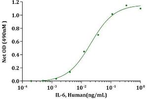 IL-6, Human stimulates cell proliferation of 7TD1 cells. (IL-6 Protein (AA 29-212))