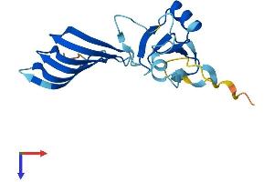 AlphaFold protein structure predicition of Mouse Recombinant Morn5 Protein, UniprotID Q9DAI9