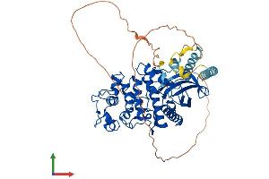 AlphaFold protein structure predicition of Human Recombinant SRPK3 Protein, UniprotID Q9UPE1
