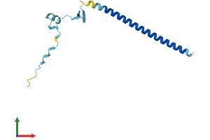 AlphaFold protein structure predicition of Human Recombinant CBY1 Protein, UniprotID Q9Y3M2