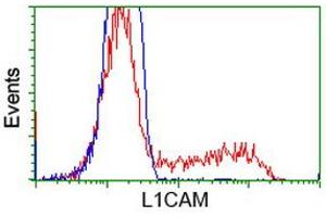 Flow Cytometry (FACS) image for anti-L1 Cell Adhesion Molecule (L1CAM) antibody (ABIN1499082) (L1CAM anticorps)