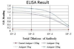 Red: Control Antigen (100 ng), Purple: Antigen (10 ng), Green: Antigen (50 ng), Blue: Antigen (100 ng), (CD94 anticorps)