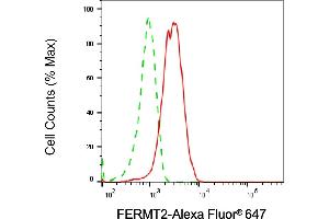 Flow cytometric analysis of FERMT2 expression in HepG2 cells using FERMT2 antibody (ABIN7798593), 1:2,000). (FERMT2 anticorps)