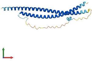 AlphaFold protein structure predicition of Human Recombinant SNAP25 Protein, UniprotID P60880