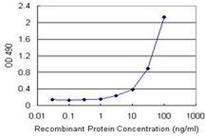 Sandwich ELISA detection sensitivity ranging from 3 ng/mL to 100 ng/mL. (CCL2 (Humain) Matched Antibody Pair)