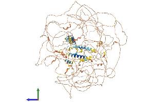 AlphaFold protein structure predicition of Human Recombinant BCL9L Protein, UniprotID Q86UU0
