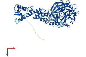 AlphaFold protein structure predicition of Mouse Recombinant Klhl3 Protein, UniprotID E0CZ16