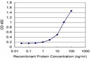 Detection limit for recombinant GST tagged GCLM is approximately 1ng/ml as a capture antibody. (GCLM anticorps  (AA 1-274))