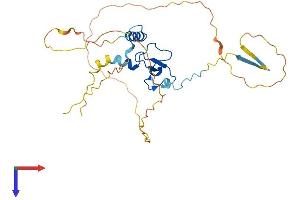 AlphaFold protein structure predicition of Mouse Recombinant Phf13 Protein, UniprotID Q8K2W6