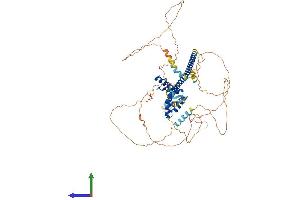 AlphaFold protein structure predicition of Human Recombinant SOX13 Protein, UniprotID Q9UN79