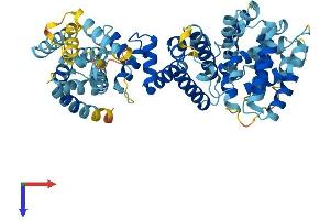 AlphaFold protein structure predicition of Human Recombinant FANCC Protein, UniprotID Q00597