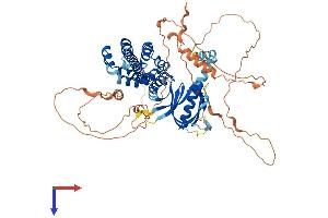 AlphaFold protein structure predicition of Mouse Recombinant Arhgef25 Protein, UniprotID Q9CWR0