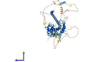 AlphaFold protein structure predicition of Mouse Recombinant Atrip Protein, UniprotID Q8BMG1