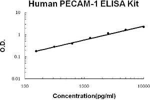 Human PECAM-1/CD31 PicoKine ELISA Kit standard curve (CD31 Kit ELISA)