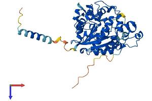 AlphaFold protein structure predicition of Human Recombinant CHST6 Protein, UniprotID Q9GZX3