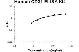 Human CD21/CR2 PicoKine ELISA Kit standard curve (CD21 Kit ELISA)