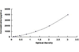 Typical standard curve