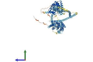 AlphaFold protein structure predicition of Human Recombinant HIP1 Protein, UniprotID O00291