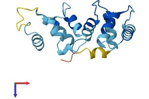 AlphaFold protein structure predicition of Mouse Recombinant Cib3 Protein, UniprotID Q0P523